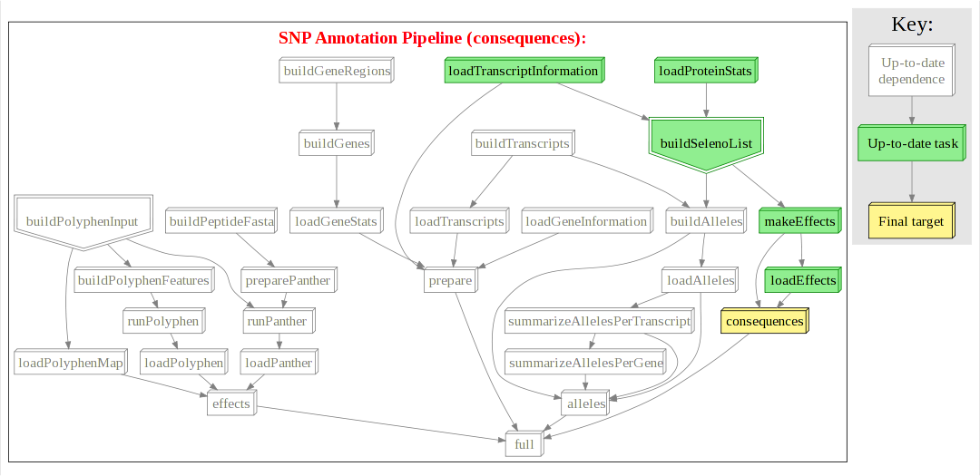 _images/gallery_snp_annotation_consequences.png